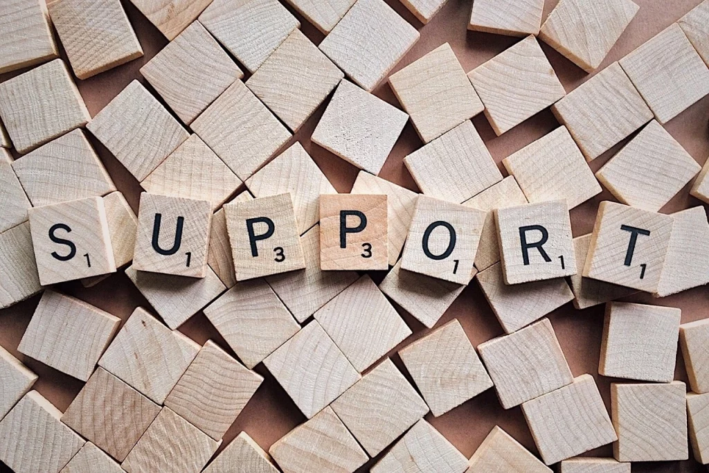 SAP support